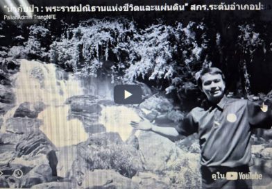 การประกวดคลิปวีดีโอขับขานบทเพลง “น้ำกับป่า”