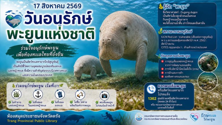 17 สิงหาคม วันอนุรักษ์พะยูนแห่งชาติ
